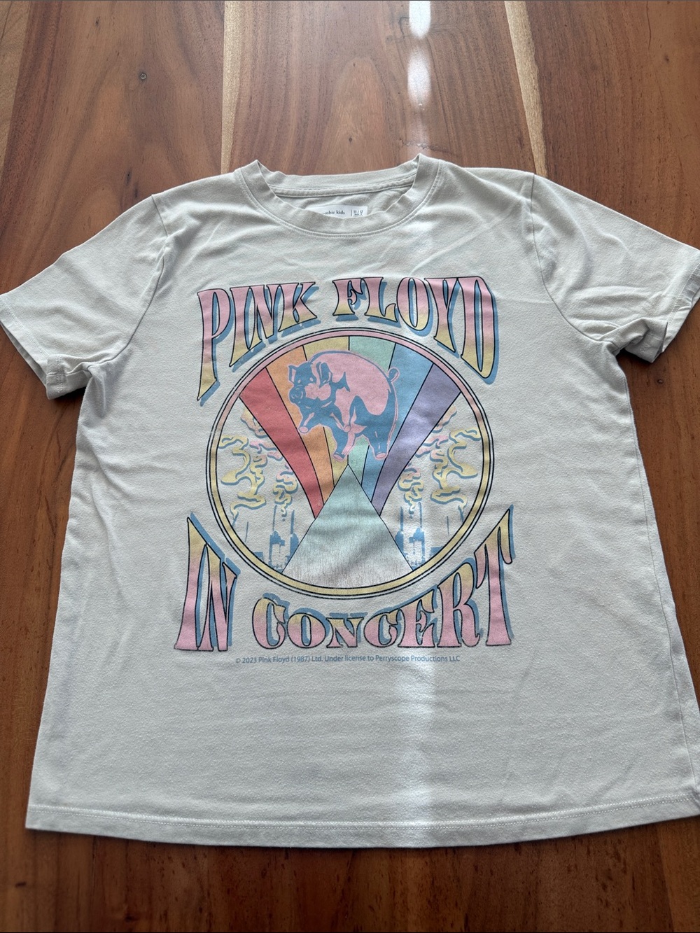 Abercrombie Kids White Pastel Pink Floyd Graphic Tee
